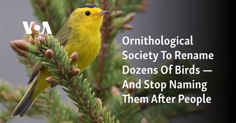 Ornithological society to rename dozens of birds  –  and stop naming them after people